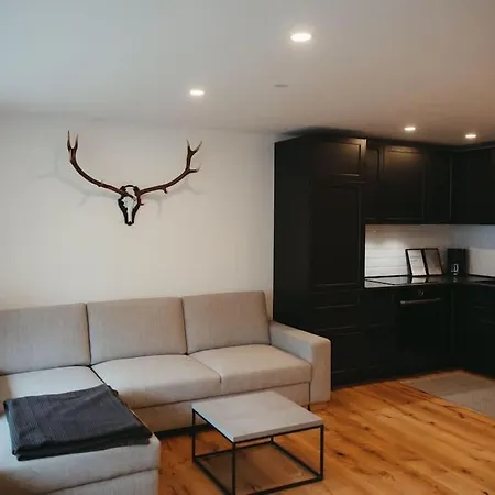 Schwarzwald Loft Apartamento *