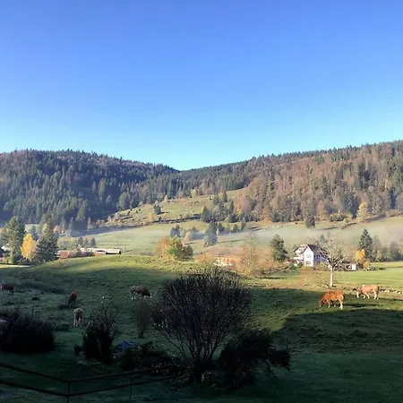 Schwarzwald Loft Lägenhet Menzenschwand-Hinterdorf
