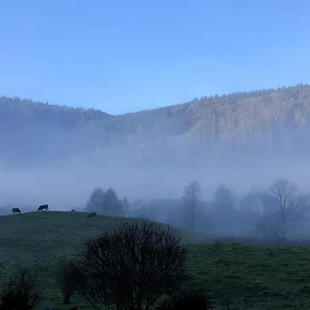 Schwarzwald Loft * Menzenschwand-Hinterdorf