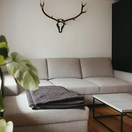 Lägenhet Schwarzwald Loft Menzenschwand-Hinterdorf