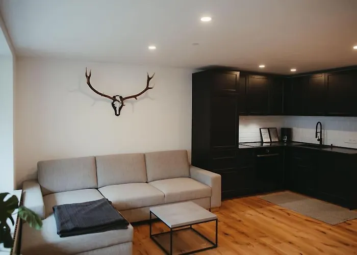 Schwarzwald Loft アパート *